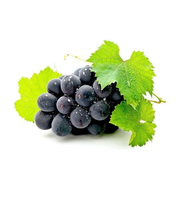 Green Seedless Grapes - Image 2