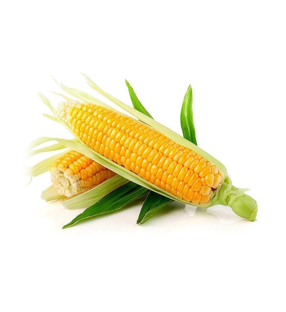 Organic Sweet Corn